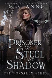 Tapa de Prisoner of Steel and Shadow