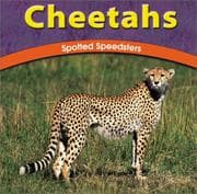 Tapa de Cheetahs
