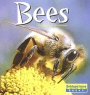 Tapa de Bees (World of Insects)