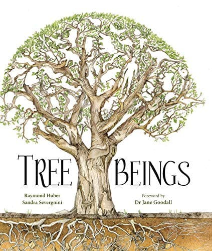 Tapa de Tree Beings