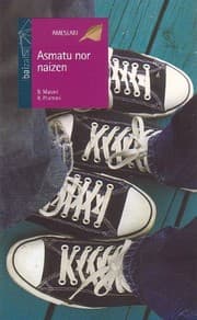 Tapa de Asmatu nor naizen