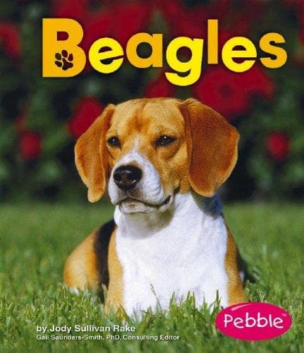Tapa de Beagles