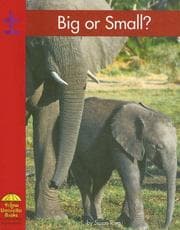Tapa de Big or small?
