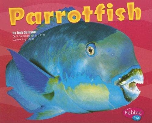 Tapa de Parrotfish