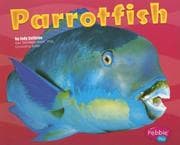 Tapa de Parrotfish