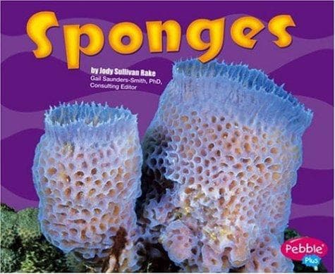 Tapa de Sponges