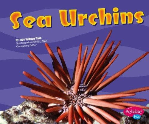 Tapa de Sea Urchins