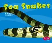 Tapa de Sea Snakes