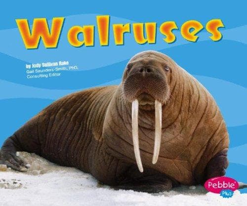 Tapa de Walruses
