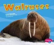 Tapa de Walruses