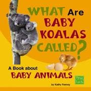 Tapa de What are baby koalas called?