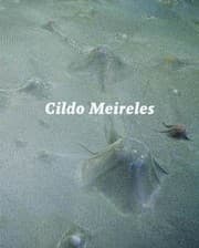Tapa de Cildo Meireles