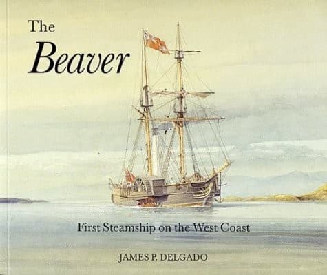 Tapa de The Beaver
