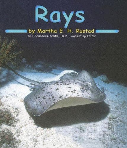 Tapa de Rays (Ocean Life)