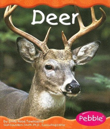 Tapa de Deer (Woodland Animals)