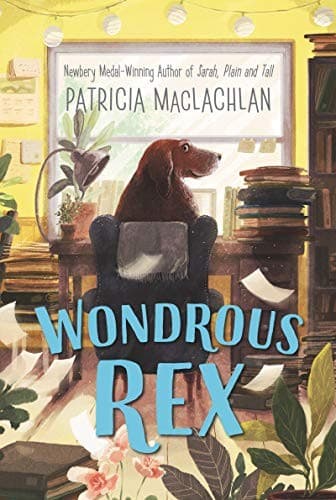 Tapa de Wondrous Rex