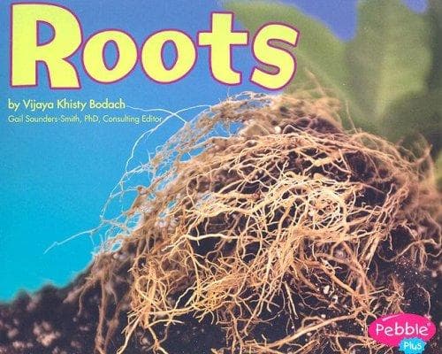 Tapa de Roots (Plant Parts)