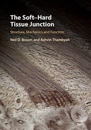 Tapa de Soft-Hard Tissue Junction