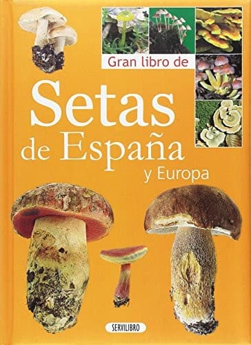 Tapa de SETAS Y HONGOS