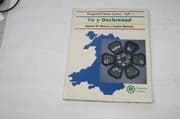 Tapa de Darganfod Hanes Cymru (Discovering Welsh History): Book 1