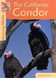 Tapa de California Condors (Returning Wildlife)