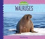 Tapa de Walruses