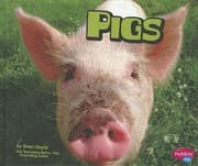 Tapa de Pigs