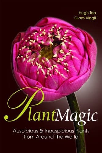 Tapa de Plant magic