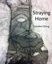 Tapa de Straying Home