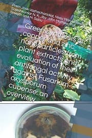 Tapa de Green Synthesis of Copper and Zinc Nanoparticles from Plant Extracts and Evaluation of Their Antifungal Activity Against Fusarium Oxysporum Cubense