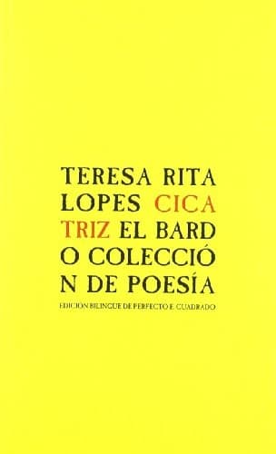 Tapa de Cicatriz