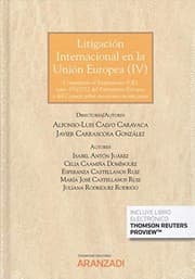 Tapa de Litigación internacional en la Unión Europea