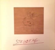 Tapa de Steinberg