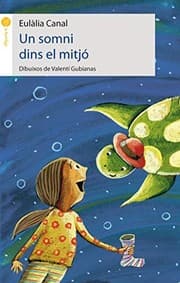 Tapa de Un somni dins el mitjó