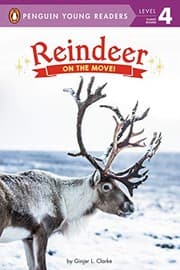 Tapa de Reindeer