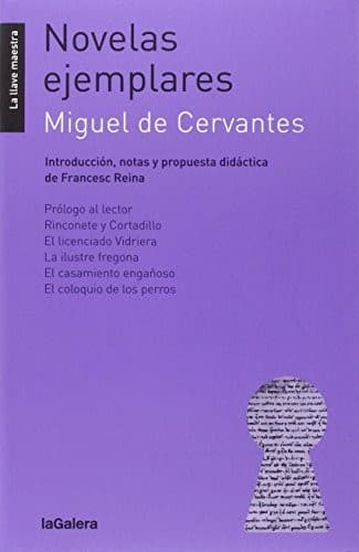 Tapa de Novelas ejemplares