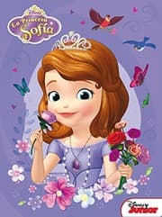 Tapa de Princesa Sofía. Caja metálica