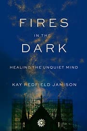 Tapa de Fires in the Dark