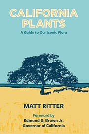 Tapa de California plants