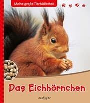 Tapa de Das Eichhörnchen