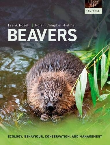 Tapa de Beavers