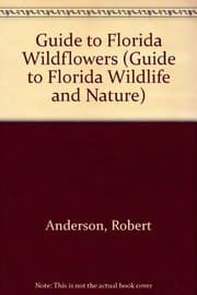 Tapa de Guide to Florida Wildflowers (Anderson, Robert. Guide to Florida Wildlife and Nature.)