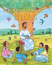 Tapa de Story Bible