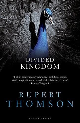 Tapa de Divided Kingdom