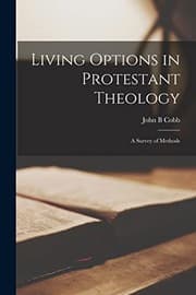 Tapa de Living Options in Protestant Theology; a Survey of Methods