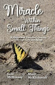 Tapa de Miracle Within Small Things