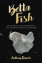 Tapa de Betta Fish