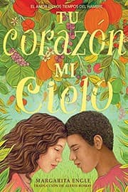 Tapa de Tu Corazón, Mi Cielo