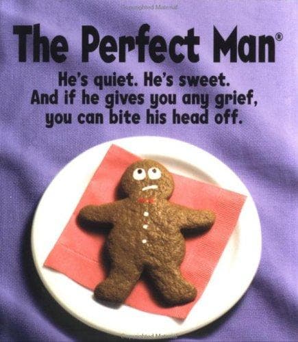 Tapa de The Perfect Man