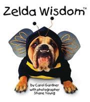 Tapa de Zelda Wisdom